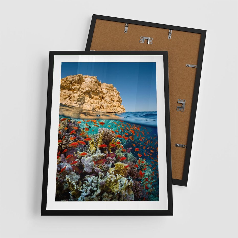 Plakat w ramie 50x70 - Rafa koralowa w oceanie - rafa, koralowa - rama czarna