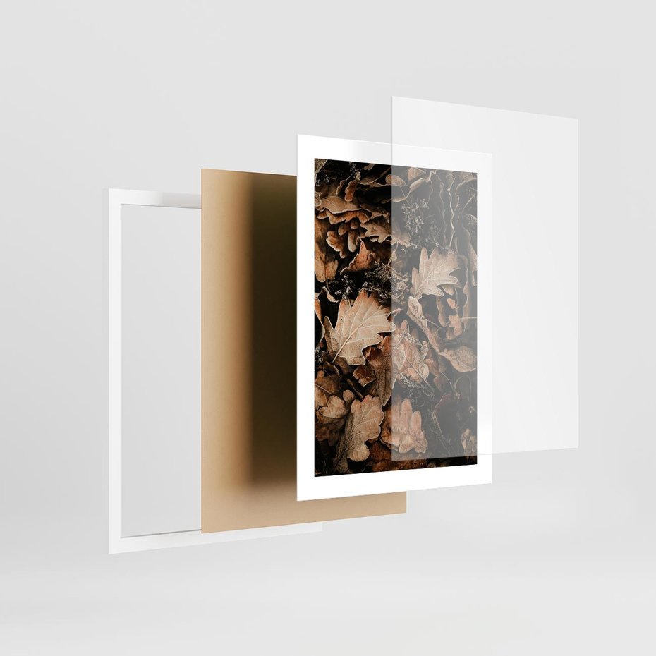 Plakat w ramie 30x40 - Jesienna Melodia: Liście i Szyszki - suche liście, szyszki - rama biała
