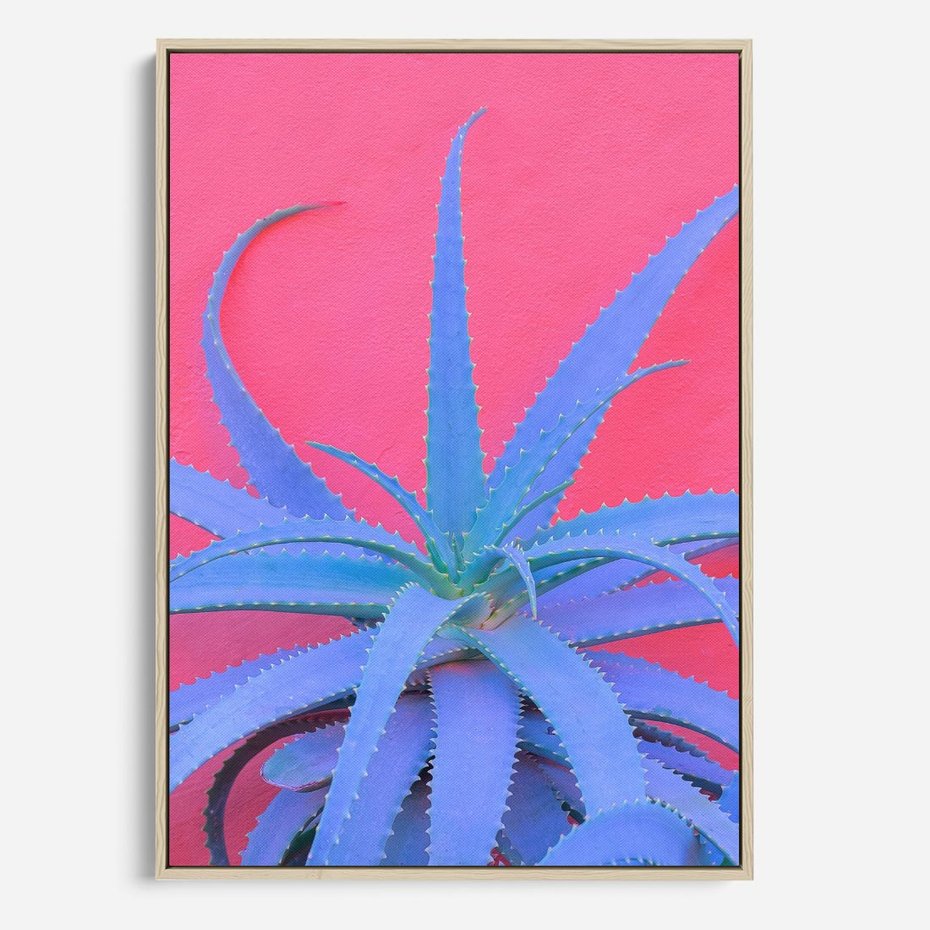 Obraz w ramie 50x70 - Piękno Pustyni - kaktusy, liście - rama drewno