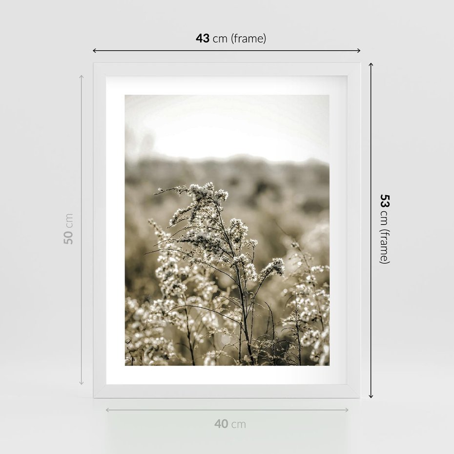 Plakat w ramie 40x50 - Pampas i Bocho - suche trawy, bocho - rama biała