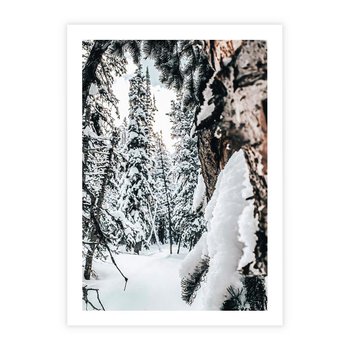 Plakat bez ramy 30x40 - Drzewa pod Śniegiem - zima las, drzewa pod śniegiem