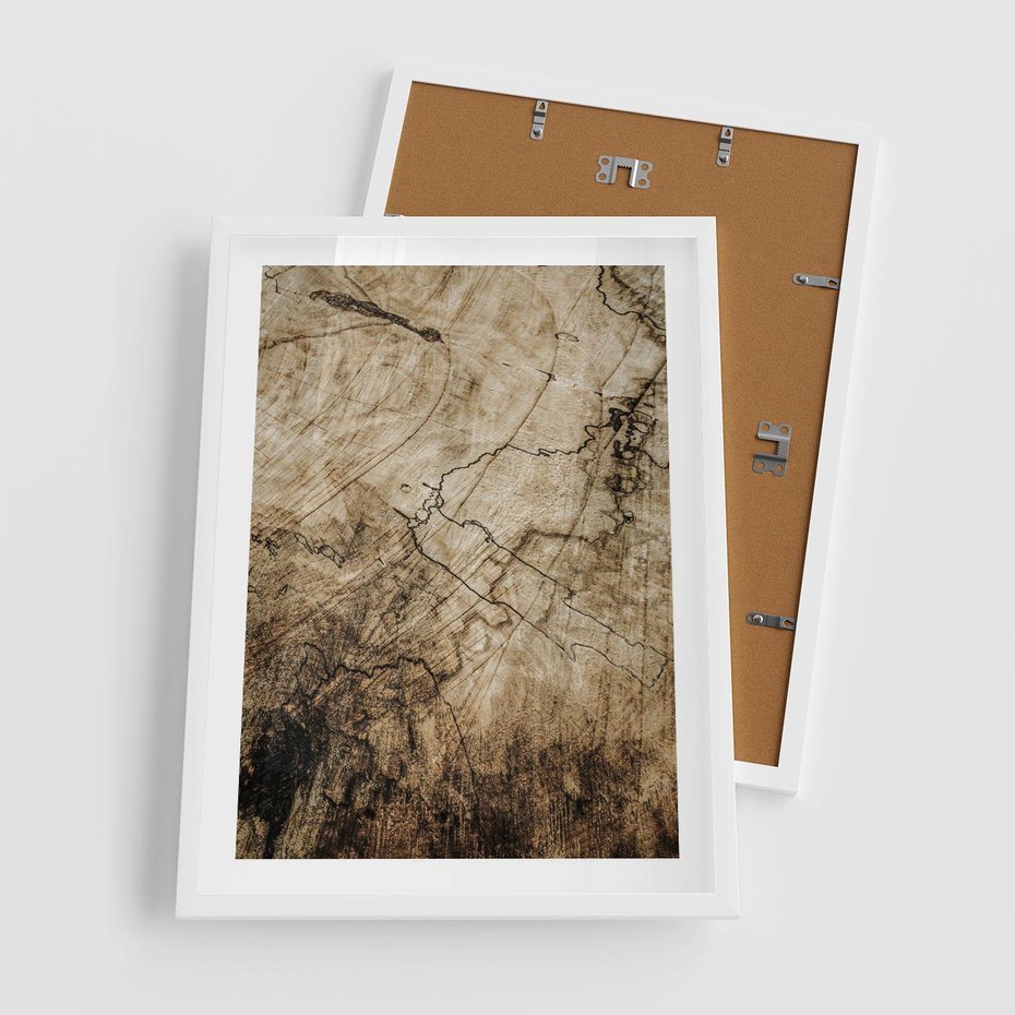 Plakat w ramie 50x70 - Słoje Natury - słoje drzewa, pieńdrzewa - rama biała