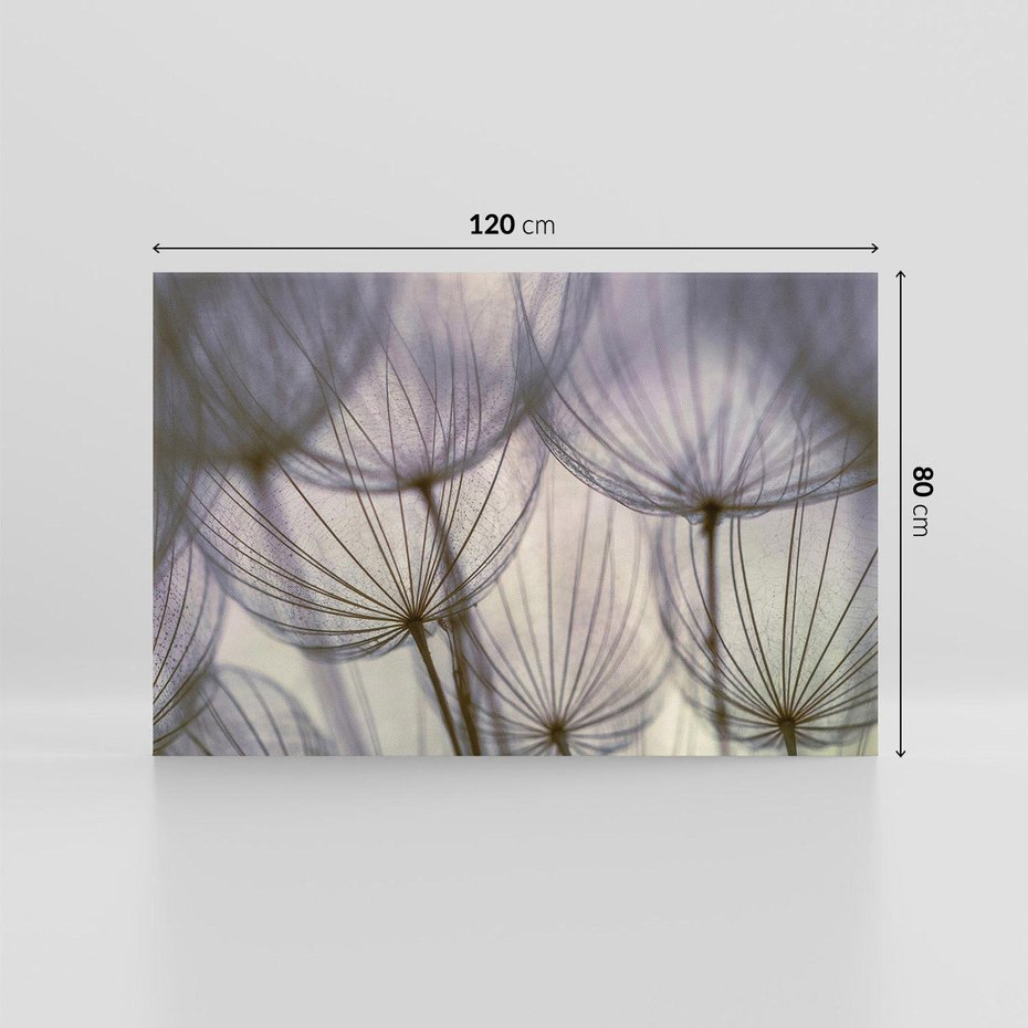 Obraz na płótnie 120x80 - Makro dmuchawiec - piękno drobnych detali - dmuchawce, makro