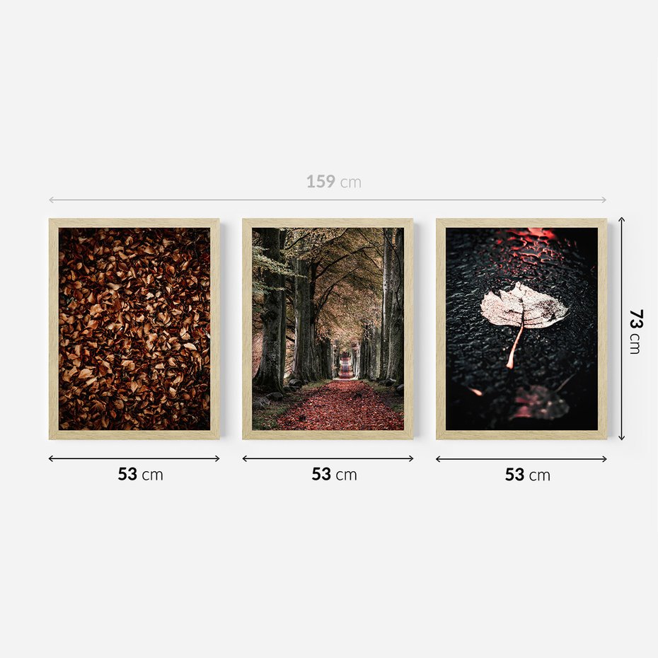 Zestaw obrazy w ramie 50x70 galeria - Jesień, ścieżka, klimatyczna - rama drewno