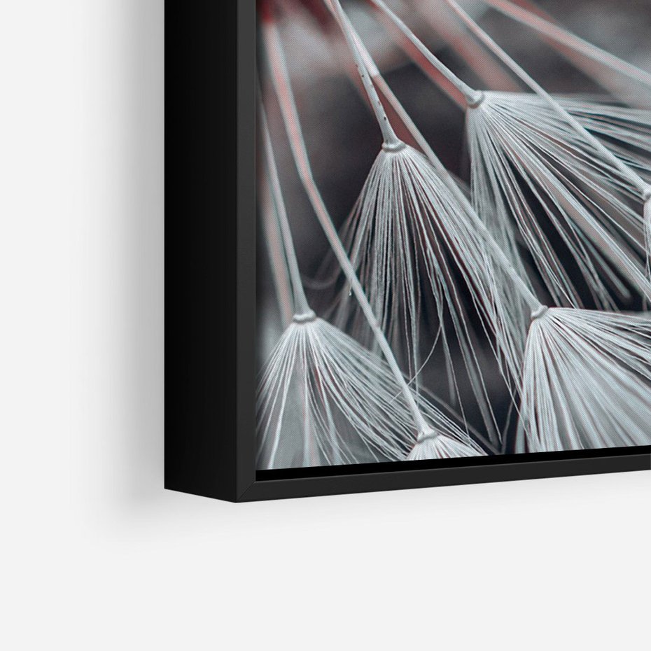 Obraz w ramie 70x100 - Makro świat dmuchawca - dmuchawiec, makro - rama czarna