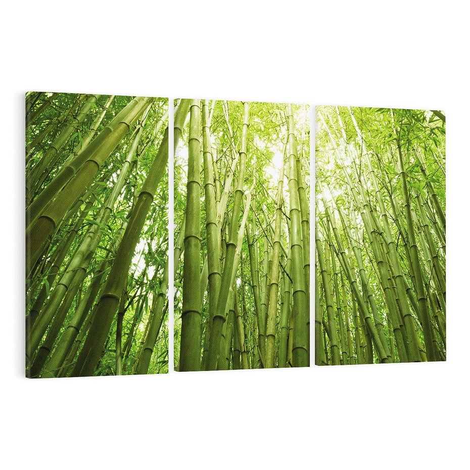 Obraz na płótnie 120x80 - Siła Natury - drzewa, las