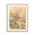 Plakat w ramie 50x70 - Boho Wizja - suszone, trawy - rama drewno