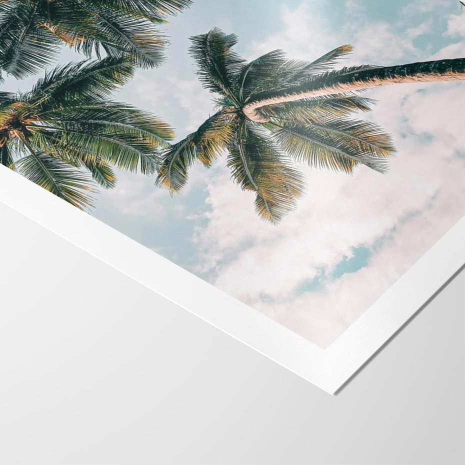 Plakat bez ramy 21x30 - Wzrok ku Niebu - palmy na tle nieba, ujęcie z dołu