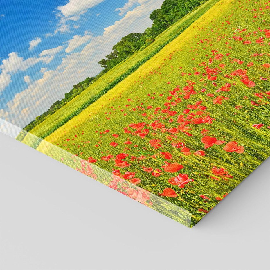 Obraz na płótnie 120x80 - Malownicze maki na łące - maki, łąka