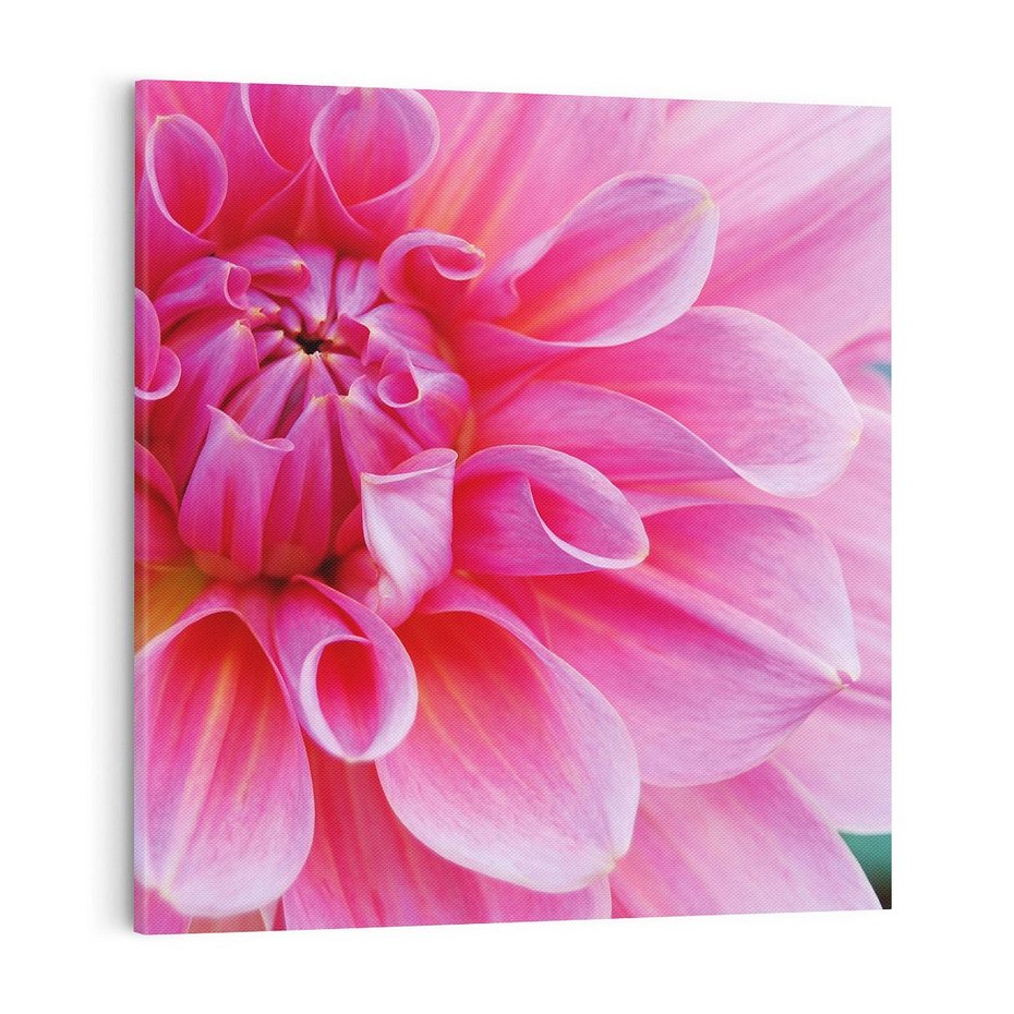 Obraz na płótnie 70x70 - Kwiatowy taniec różnorodność natury - kwiat, kwiaty