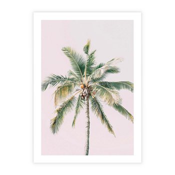 Plakat bez ramy 21x30 - Błogość Tropików - palma, tropiki