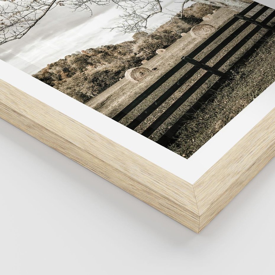 Plakat w ramie 40x50 - Drzewa i Snopki Siana - farma, drzewa - rama drewno