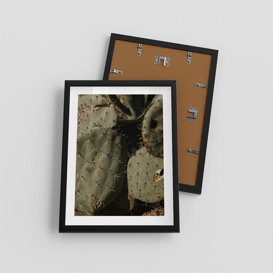 Plakat w ramie 30x40 - Urok Egzotyki - kaktusy, boho - rama czarna