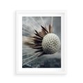 Plakat w ramie 40x50 - Makro Dmuchawiec - dmuchawiec, zbliżenie - rama biała