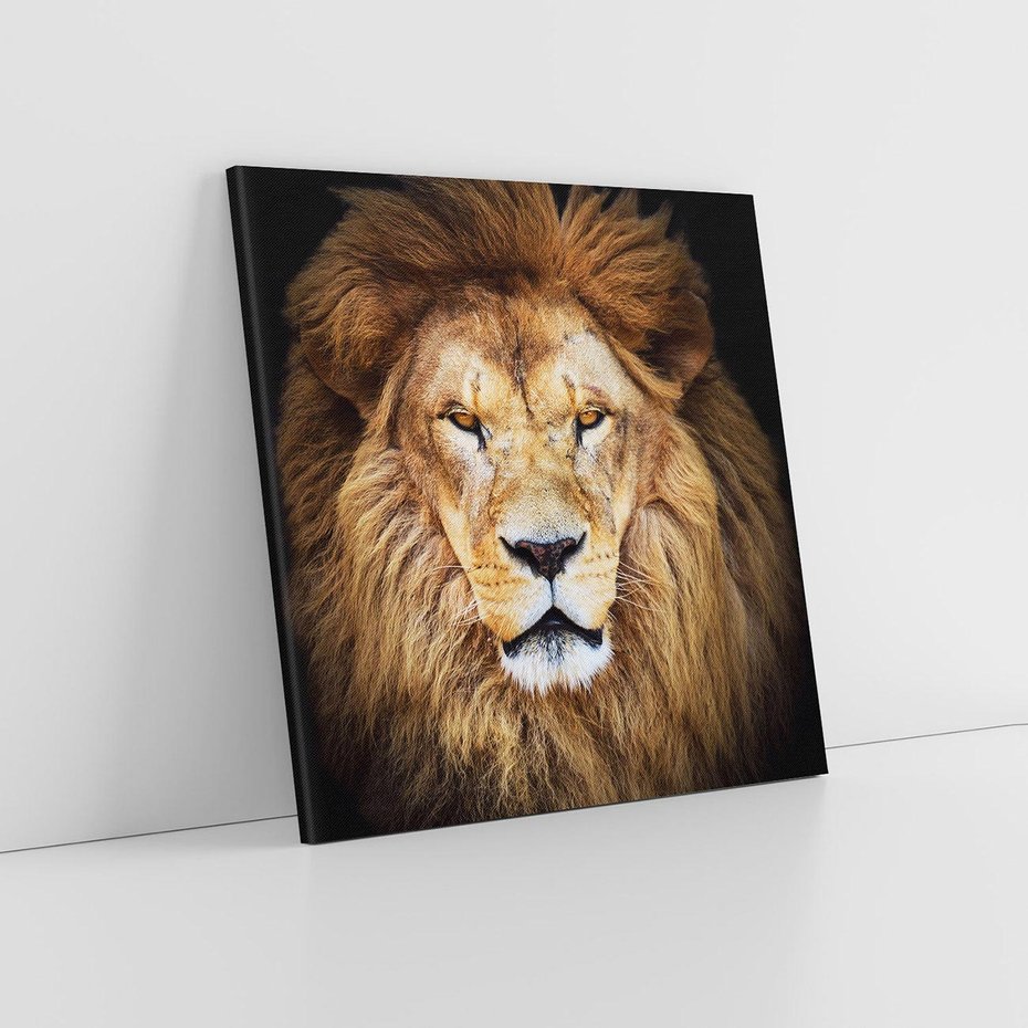 Obraz na płótnie 30x30 - Król zwierząt w majestatycznym stylu - lew, król