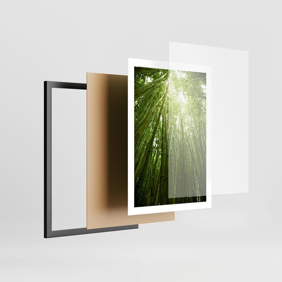 Plakat w ramie 50x70 - Siła Natury - drzewa, las - rama czarna