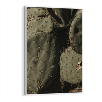 Obraz w ramie 50x70 - Urok Egzotyki - kaktusy, boho - rama biała