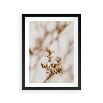 Plakat w ramie 30x40 - Kwiatowa suchość - kwiaty, susz - rama czarna