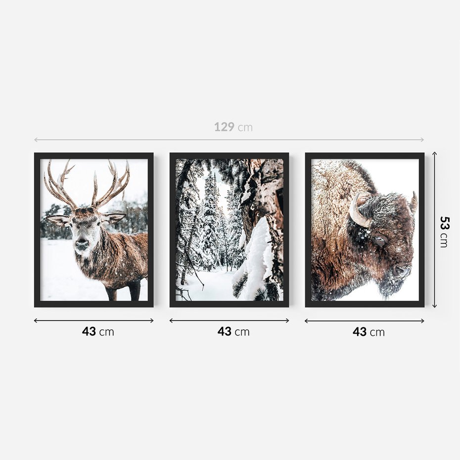 Zestaw obrazy w ramie 40x50 galeria - Jeleń, bizon, zima, retro - rama czarna