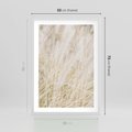 Plakat w ramie 50x70 - Białe Trawy Pampas - suche trawy, białe trawy - rama biała