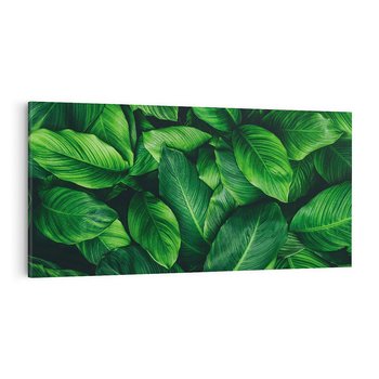 Obraz na płótnie 120x60 - Palma Liście Kwiat - palma, liście