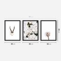 Zestaw obrazy w ramie 30x40 galeria - Kwiaty, boho, styl, minimalizm - rama czarna