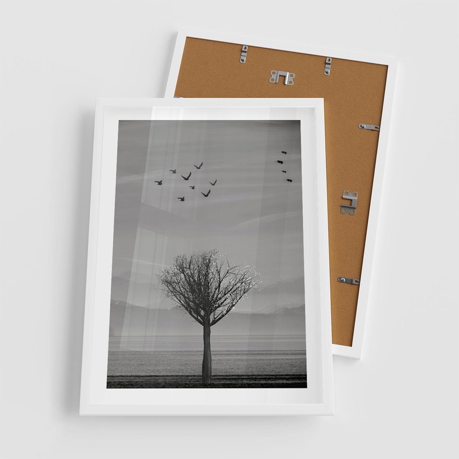 Plakat w ramie 50x70 - Samotne Drzewo - samotne drzewo w polu, czarno białe zdjęcie - rama biała