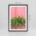Plakat w ramie 50x70 - Fotografia Rośliny z Różowym Tłem - fotografia, zielona roślina na tle różwj ściany - rama czarna