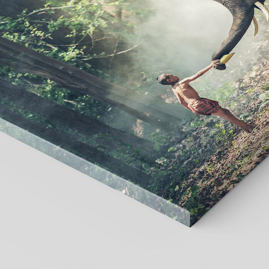 Obraz na płótnie 100x70 - Mistyfikacja w azjatyckim lesie - Azja, słoń