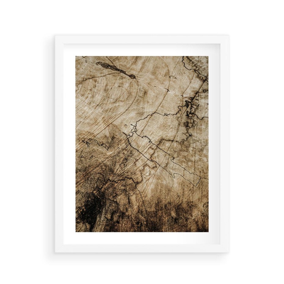 Plakat w ramie 40x50 - Słoje Natury - słoje drzewa, pieńdrzewa - rama biała
