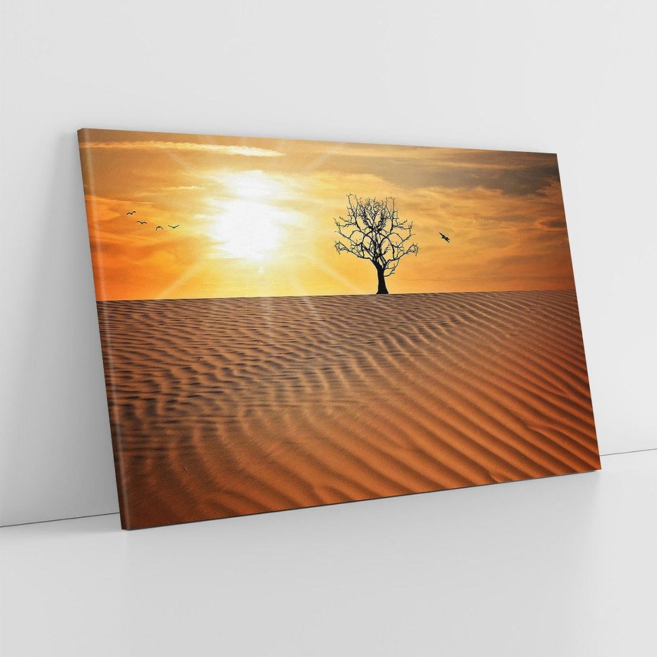 Obraz na płótnie 70x50 - Pustynia - Drzewo i słońce - pustynia, drzewo