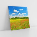 Obraz na płótnie 50x50 - Malownicze maki na łące - maki, łąka