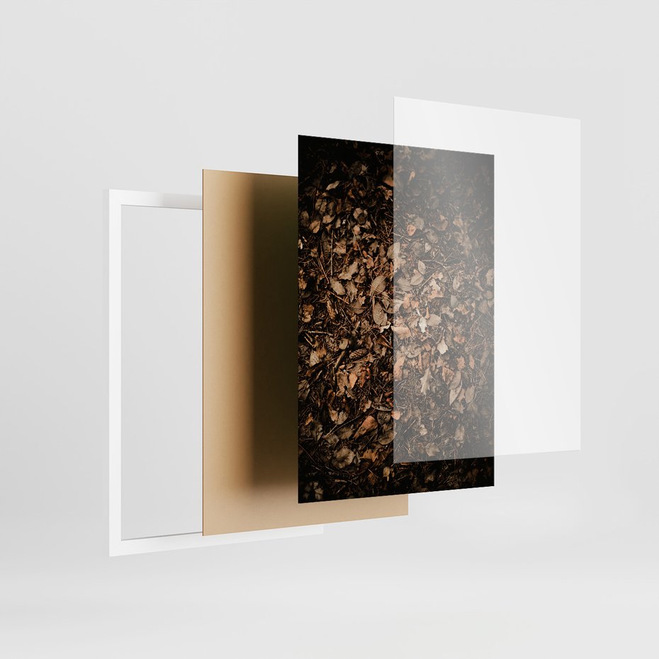 Zestaw obrazy w ramie 50x70 galeria - Suche, jesienne, liście, las - rama biała