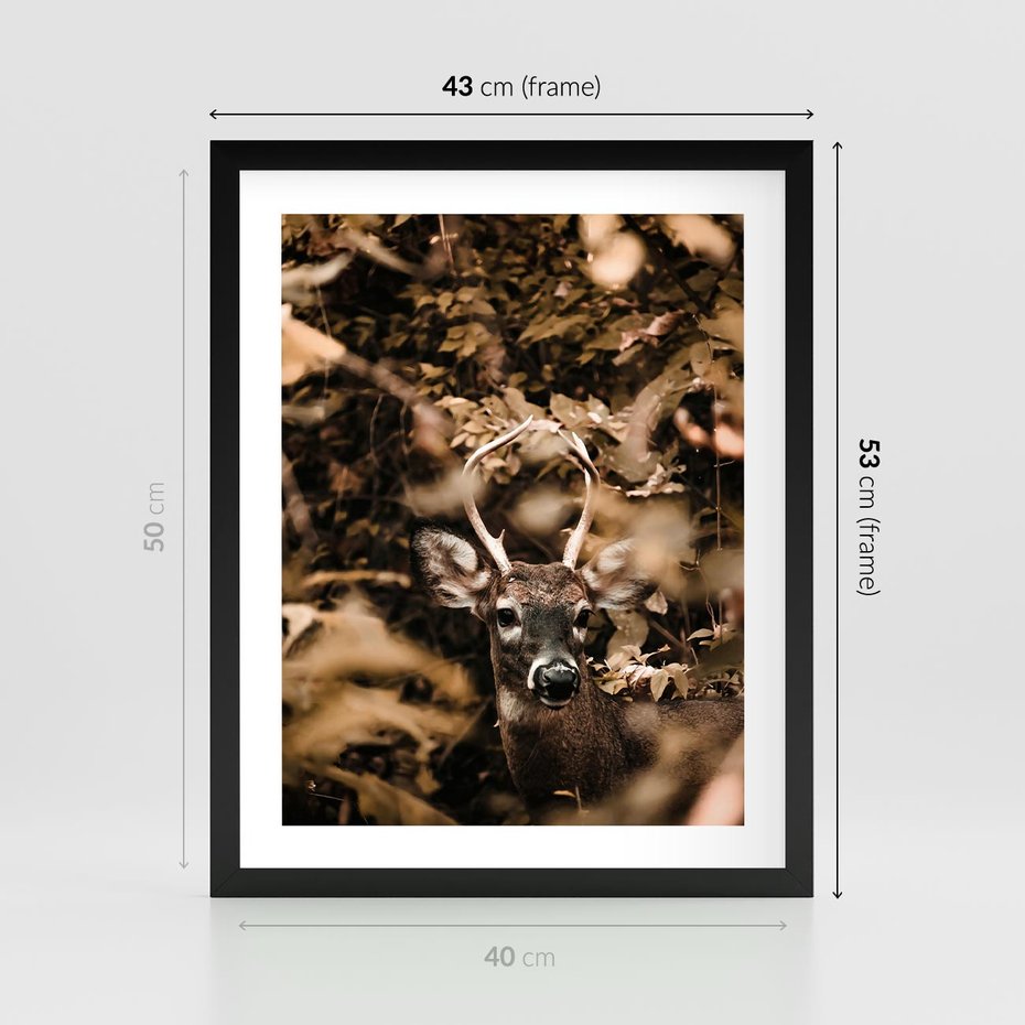 Plakat w ramie 40x50 - Jesienny Jeleń w Lesie - jeleń, w lesie - rama czarna