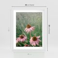Plakat w ramie 40x50 - Natura w Pełnym Blasku - kwiaty na łące, różowe kwiaty polne - rama biała