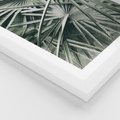 Plakat w ramie 50x70 - Palmy w Zgaszonej Zieleni - palmy, tropikalne liście - rama biała