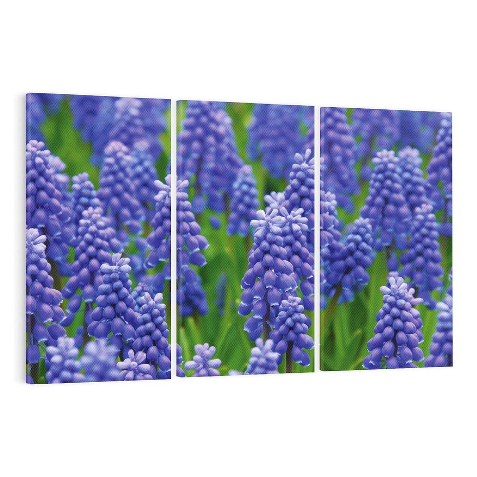 Obraz na płótnie 120x80 - Urok Lawendy - lawenda, kwiat