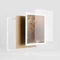 Plakat w ramie 40x50 - Subtelna gipsówka - gipsówka, suche - rama biała