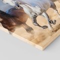 Obraz na płótnie 80x80 - Siła i elegancja - konie, galop