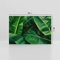 Obraz na płótnie 70x50 - Zaklęta roślinna ekspresja - liście bananowca, gęsto ułożone