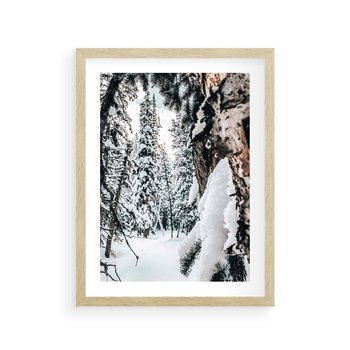 Plakat w ramie 30x40 - Drzewa pod Śniegiem - zima las, drzewa pod śniegiem - rama drewno
