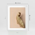 Plakat w ramie 40x50 - Boho suszone liście - suszony, liść - rama biała