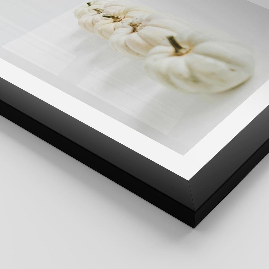 Plakat w ramie 50x70 - Białe Dynie - białe dynie, jesień - rama czarna