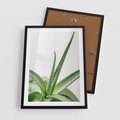 Plakat w ramie 50x70 - Zielone Piękno - aloes, liście - rama czarna
