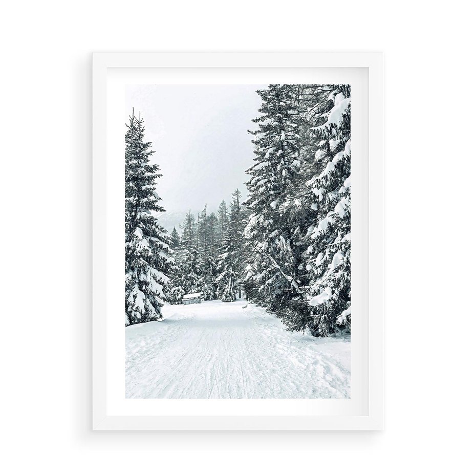 Plakat w ramie 50x70 - Magia Zimy na Obrazie - las, zima - rama biała