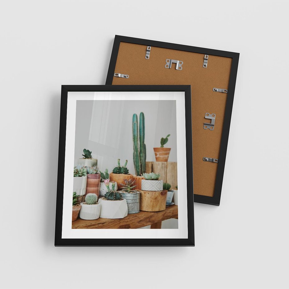 Plakat w ramie 40x50 - Kaktusowa Galeria w Doniczkach - kaktusy w doniczkach, fotografia - rama czarna