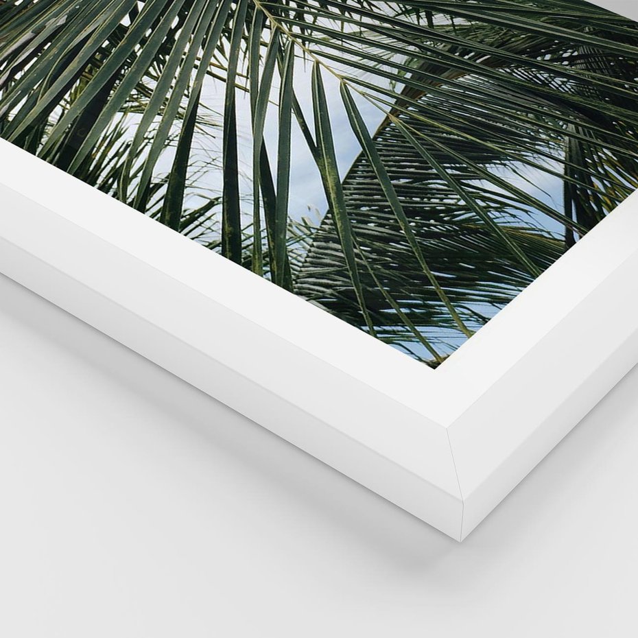 Plakat w ramie 40x50 - Wakacyjna Magia - palmy, tropiki - rama biała