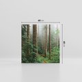Obraz na płótnie 60x60 - Mgliste Marzenia - artystyczna fotografia, las