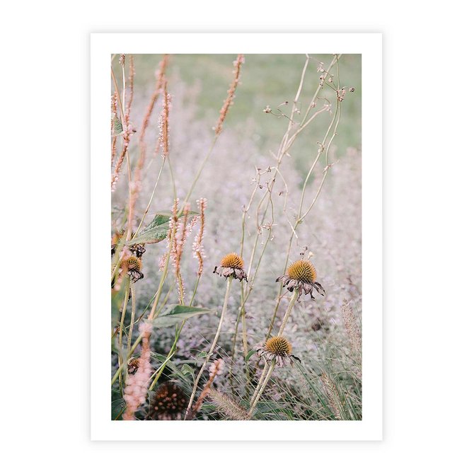 Plakat bez ramy 21x30 - Przyroda w Pełnym Blasku: Kolorowa łąka z Kwiatami - łąka, kwiaty na łące