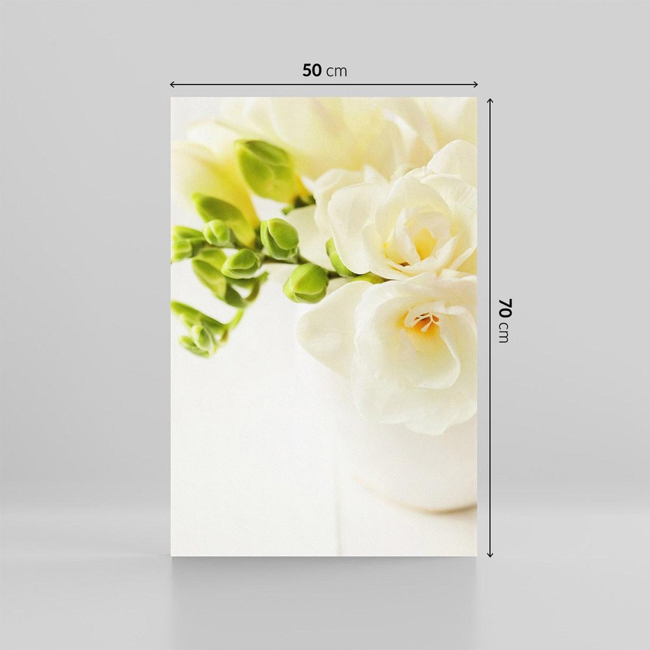 Obraz na płótnie 50x70 - Subtelność białych frezji - frezja, białe
